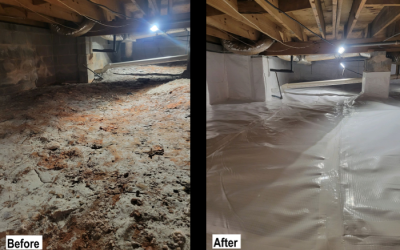 Your crawl space is the lungs of your home – keep it clean, dry, and healthy.