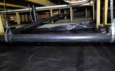 Crawl Space Waterproofing 101: Moisture, Air Quality, and Structural Risks