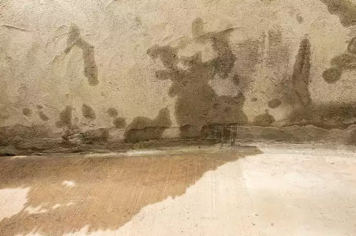Water stains on concrete basement wall