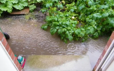 Best Drainage Ideas to Drain Water Away from House