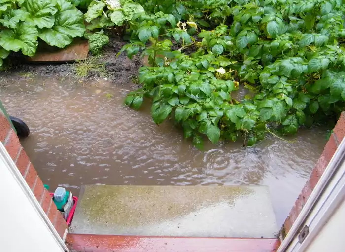 A front door opens on rising, standing water, causing a homeowner to wonder how to drain water away from their house.