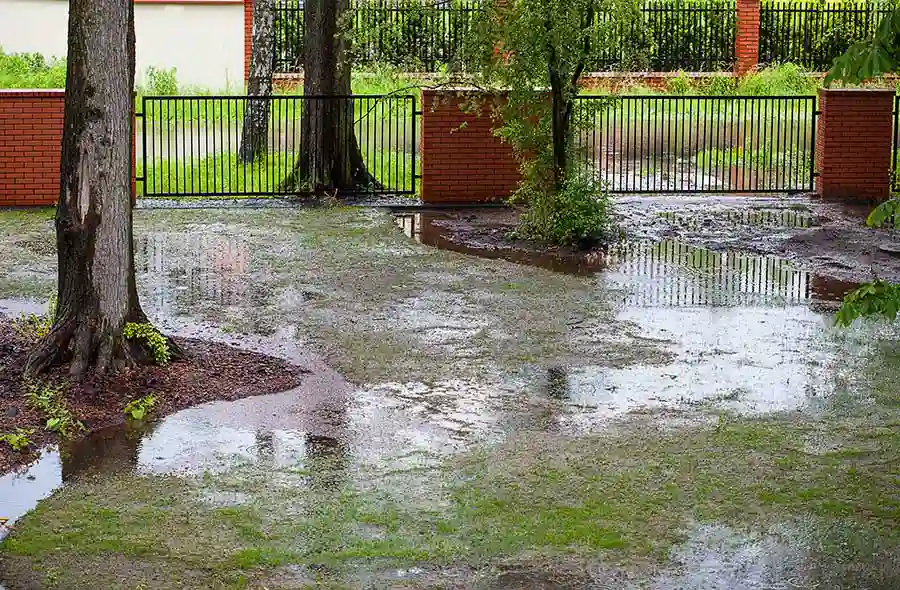 Ponding water in a yard, due to poor drainage
