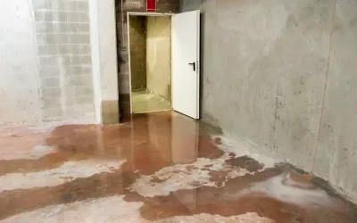 The Long-Term Cost of Ignoring Drainage Problems at Home