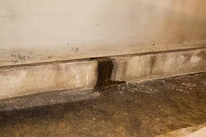Water leaking through foundation wall in crawl space of house.